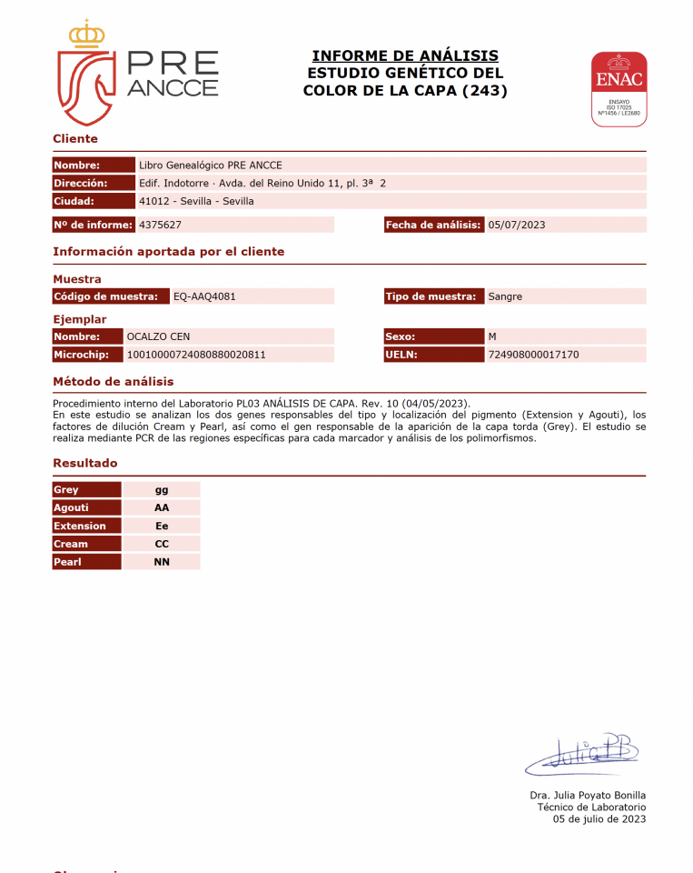 OCALZO CEN - PRE Andaluso 2010 ,  JORDAN DE CENTURION
