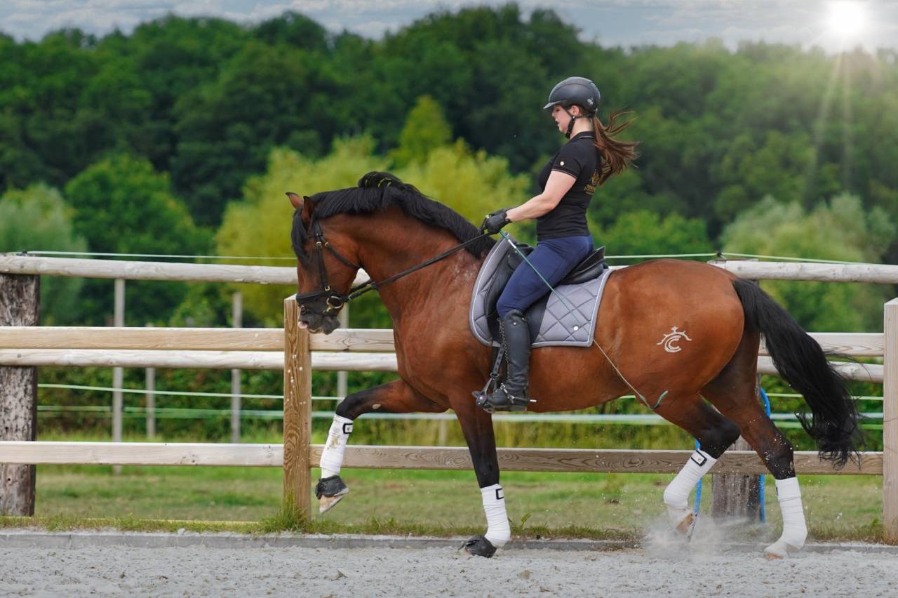 OCALZO CEN - PRE Andaluso 2010 ,  JORDAN DE CENTURION