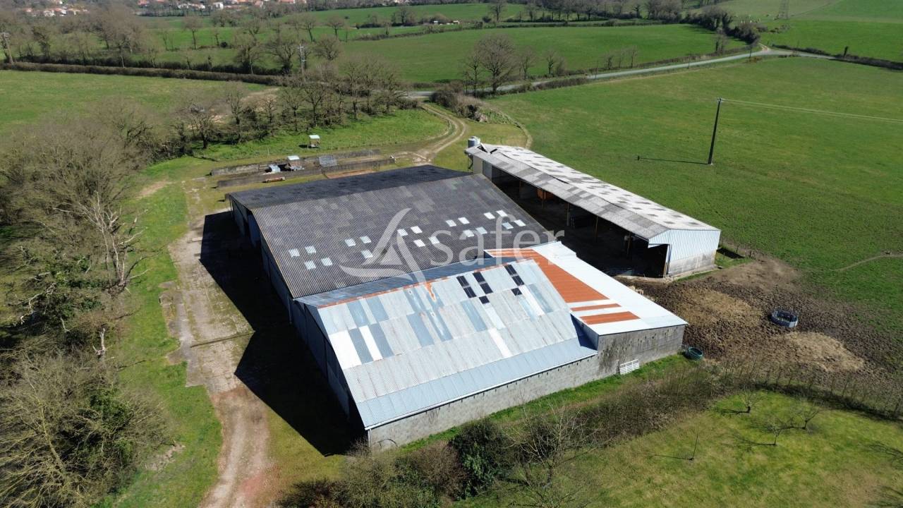 Azienda ovina In vendita Deux-Sèvres