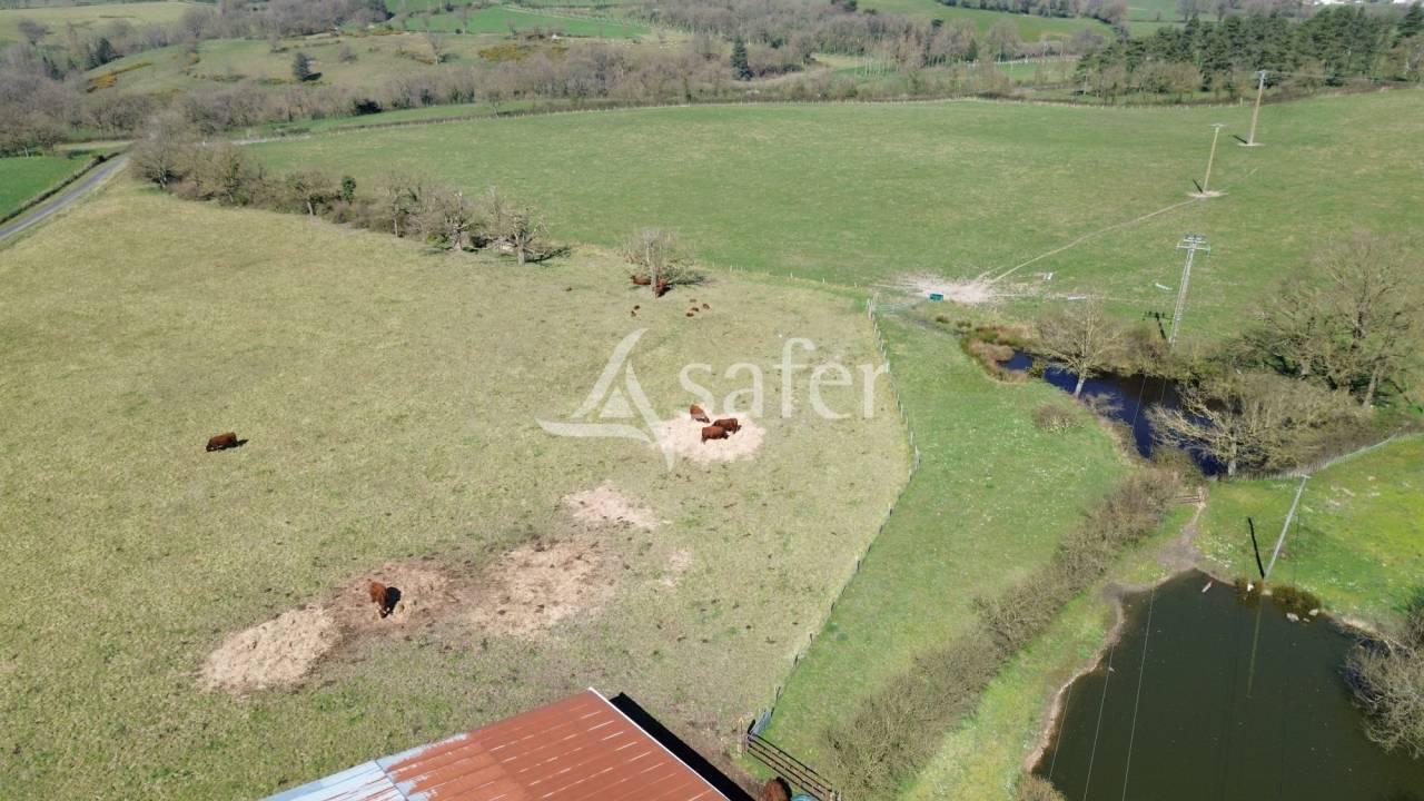 Azienda ovina In vendita Deux-Sèvres