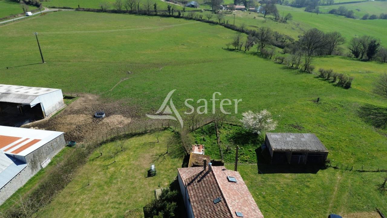 Azienda ovina In vendita Deux-Sèvres