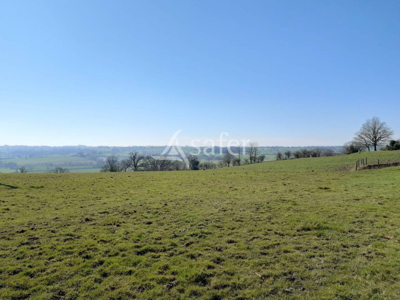 Azienda ovina In vendita Deux-Sèvres