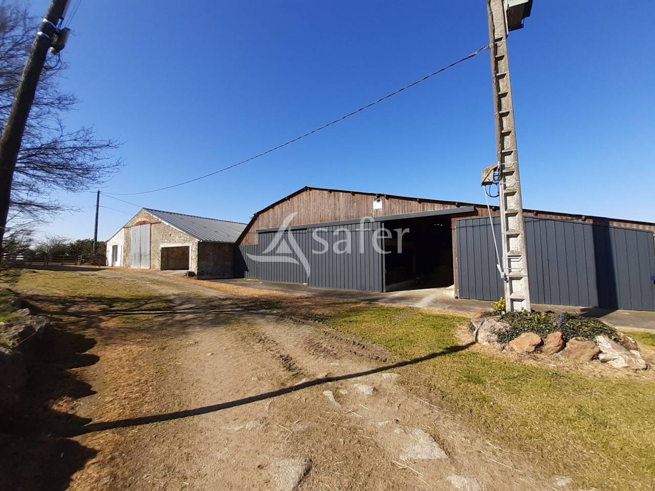 Azienda ovina In vendita Deux-Sèvres