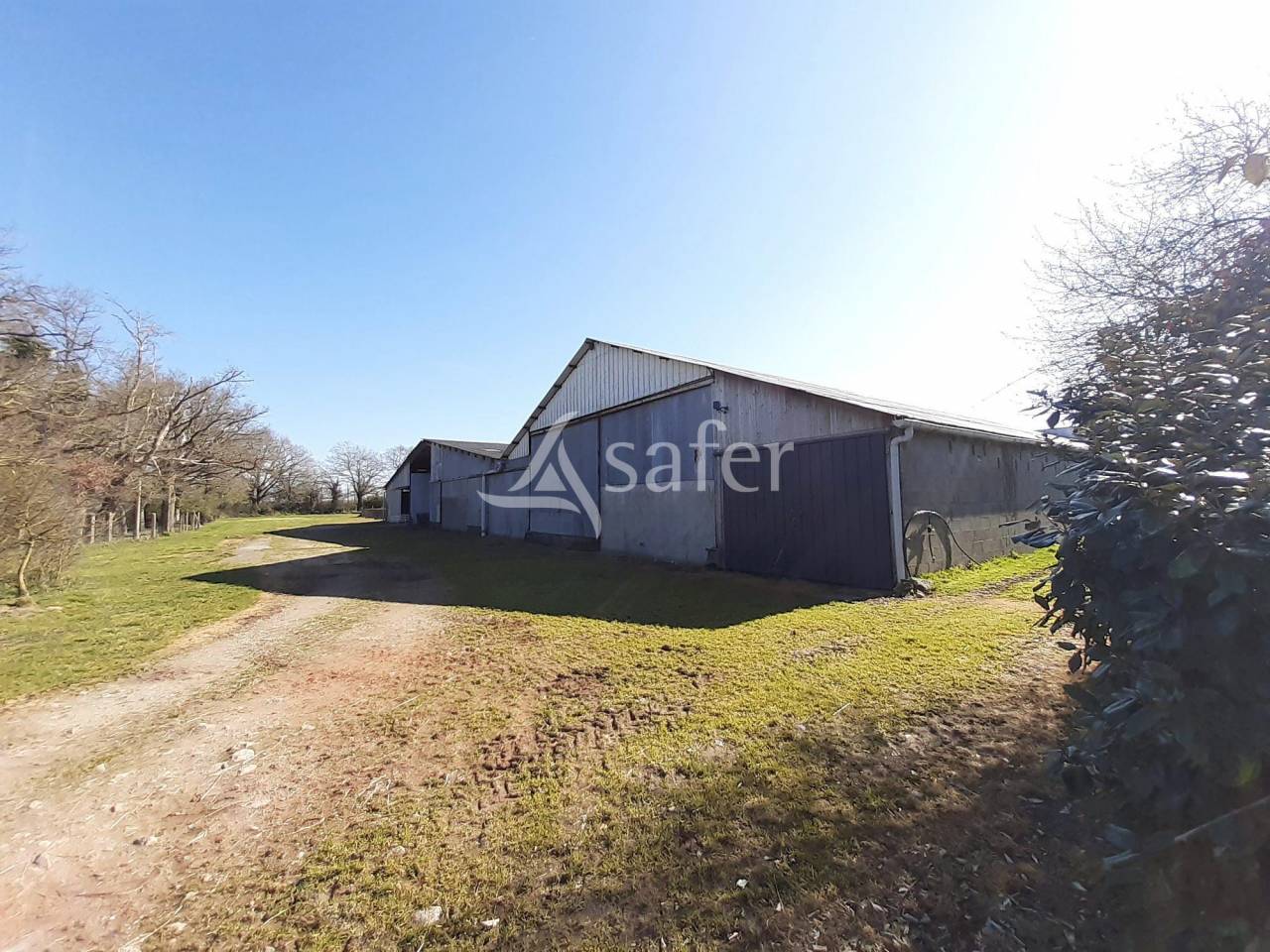 Azienda ovina In vendita Deux-Sèvres