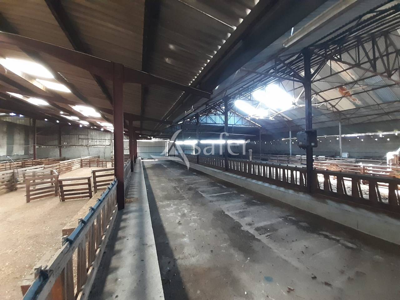 Azienda ovina In vendita Deux-Sèvres