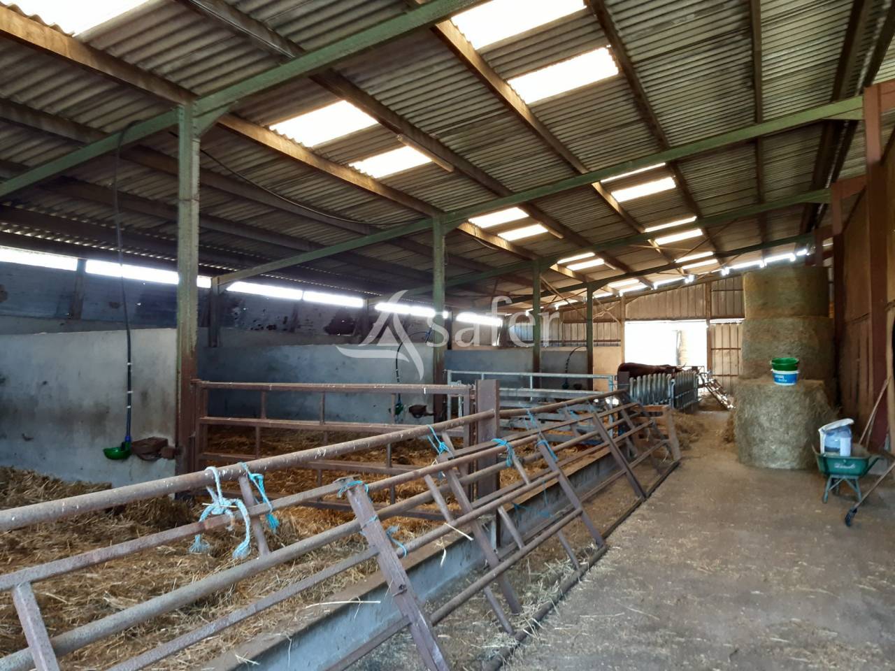 Azienda ovina In vendita Deux-Sèvres