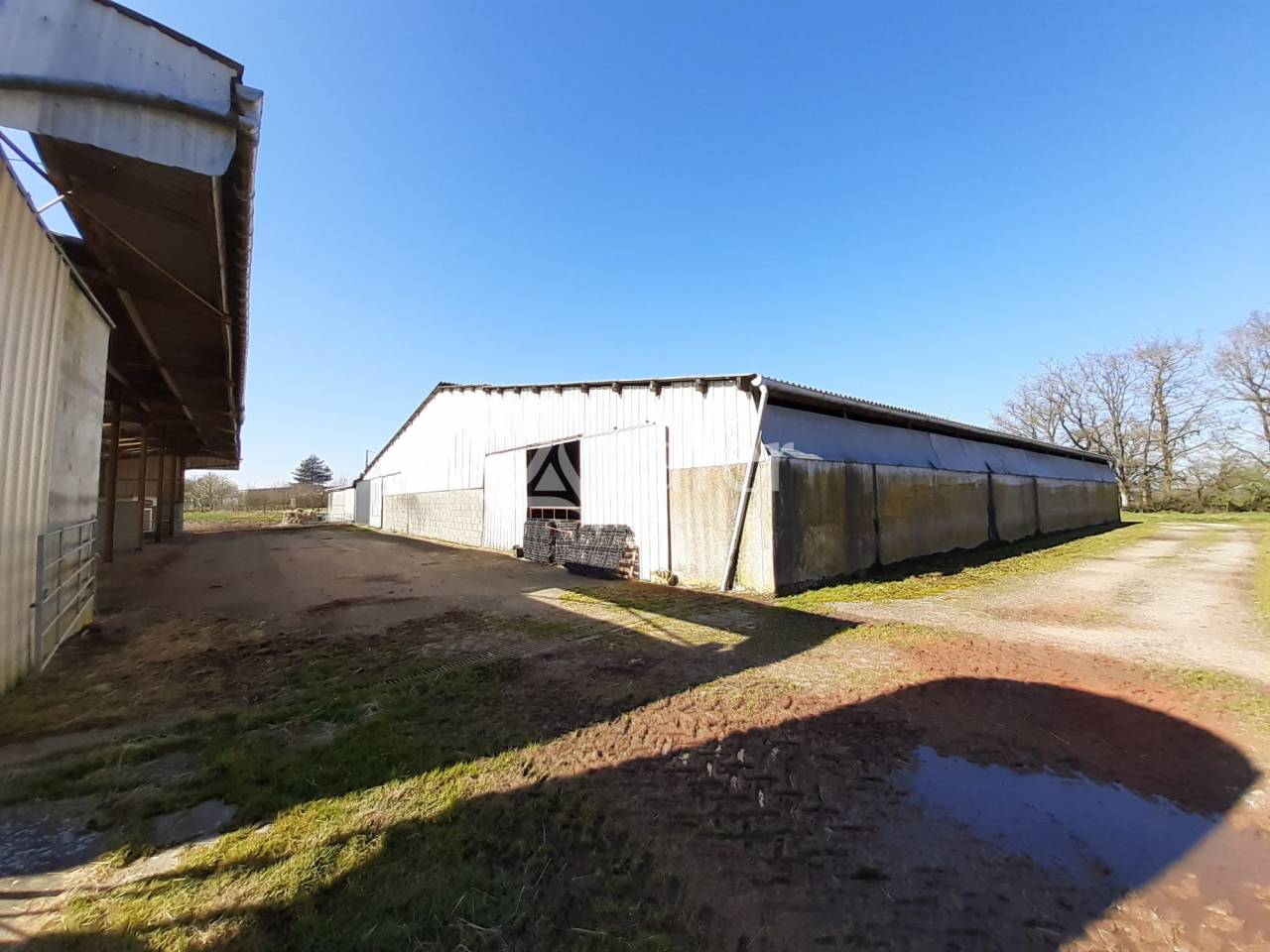 Azienda ovina In vendita Deux-Sèvres