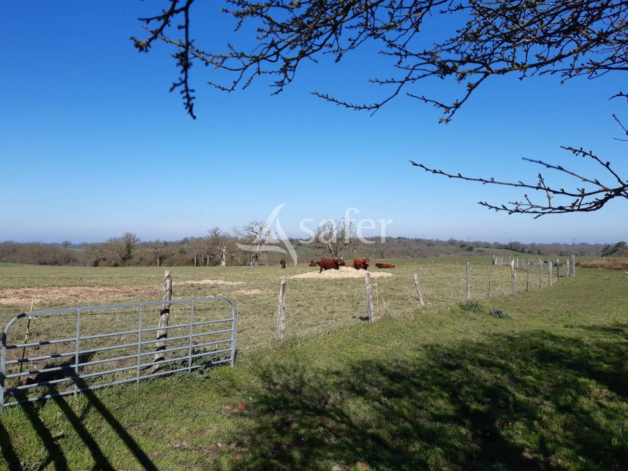 Azienda ovina In vendita Deux-Sèvres