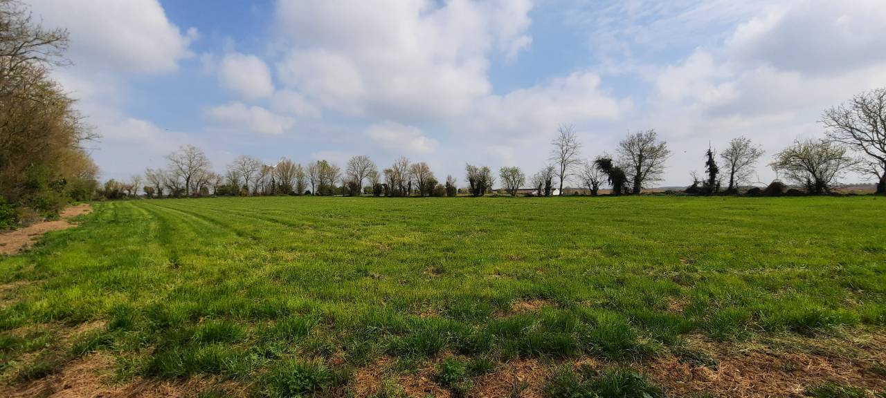 Proprietà equestre In vendita Vendée