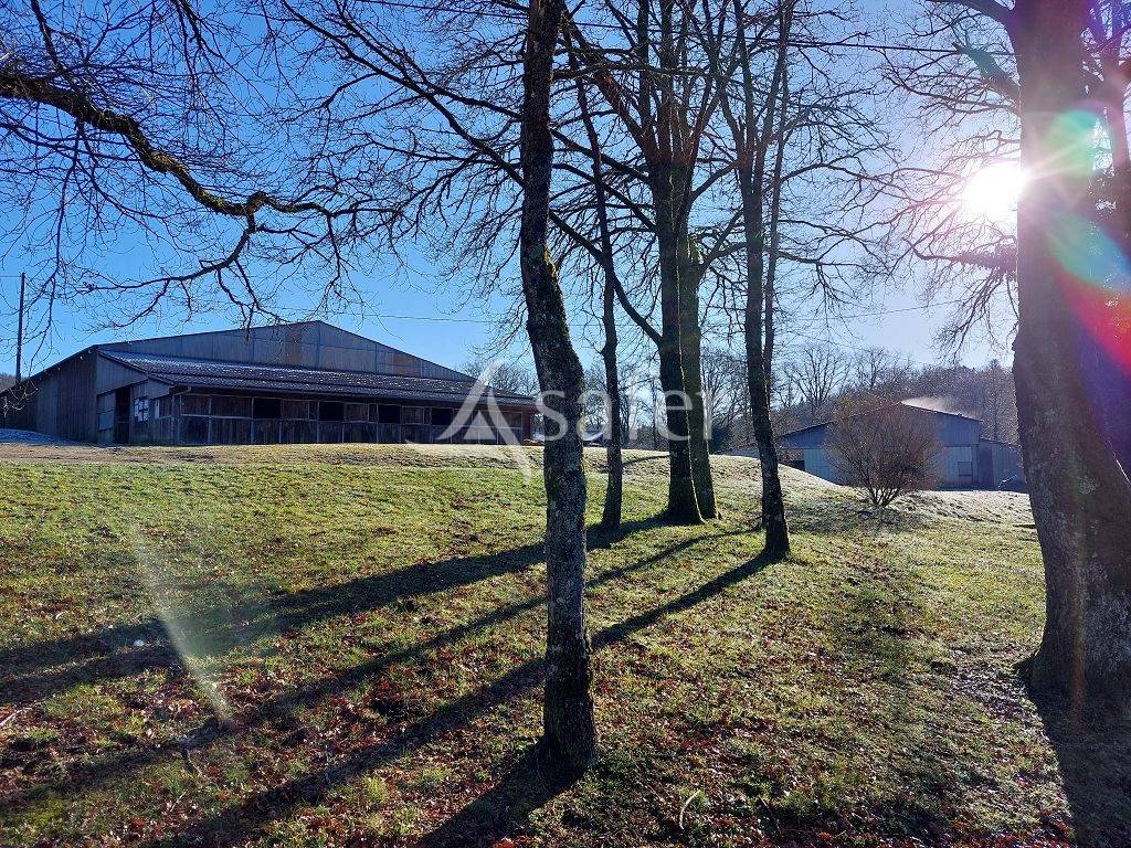 Proprietà equestre In vendita Haute-Vienne