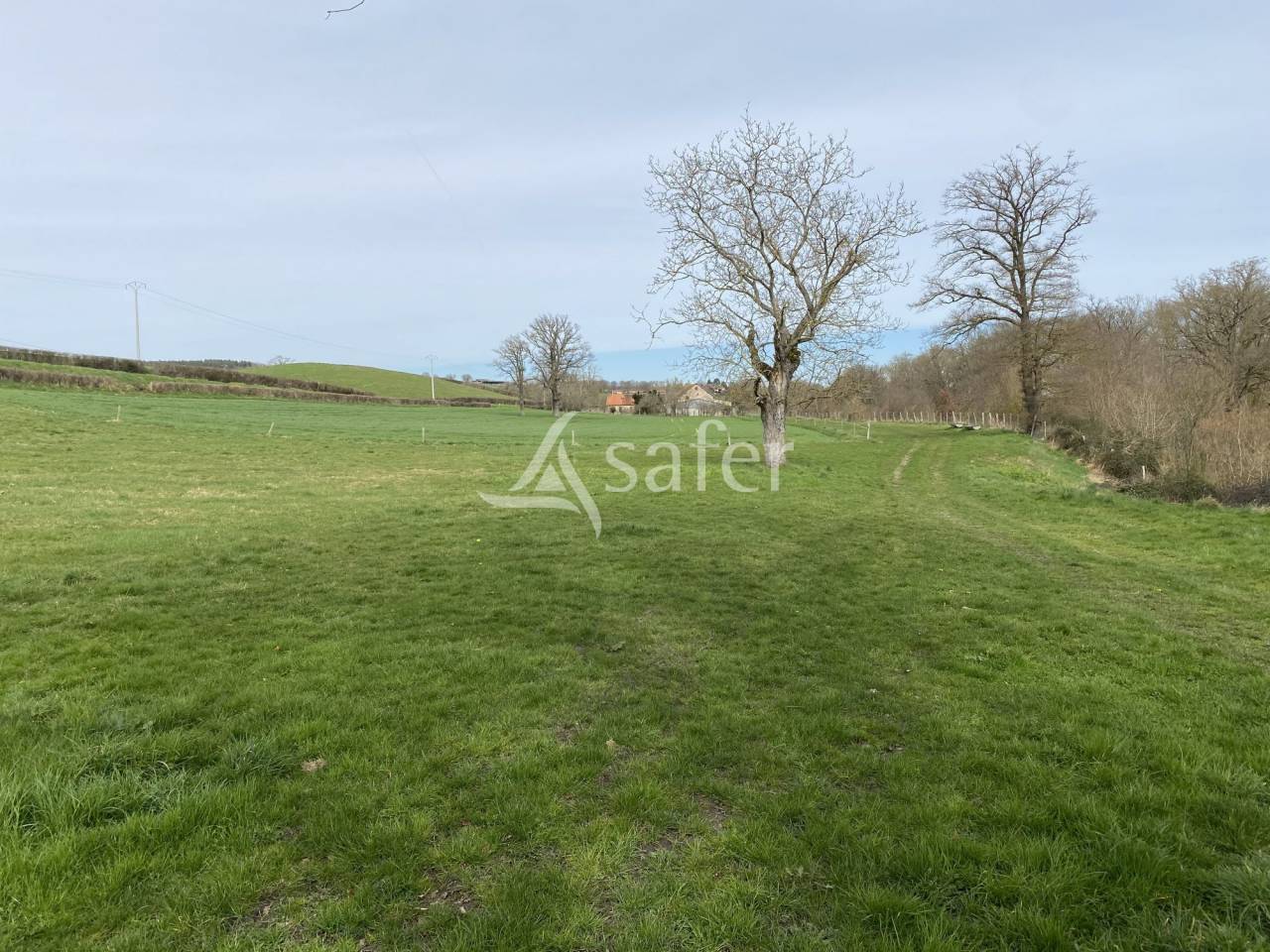 Azienda ovina In vendita Allier