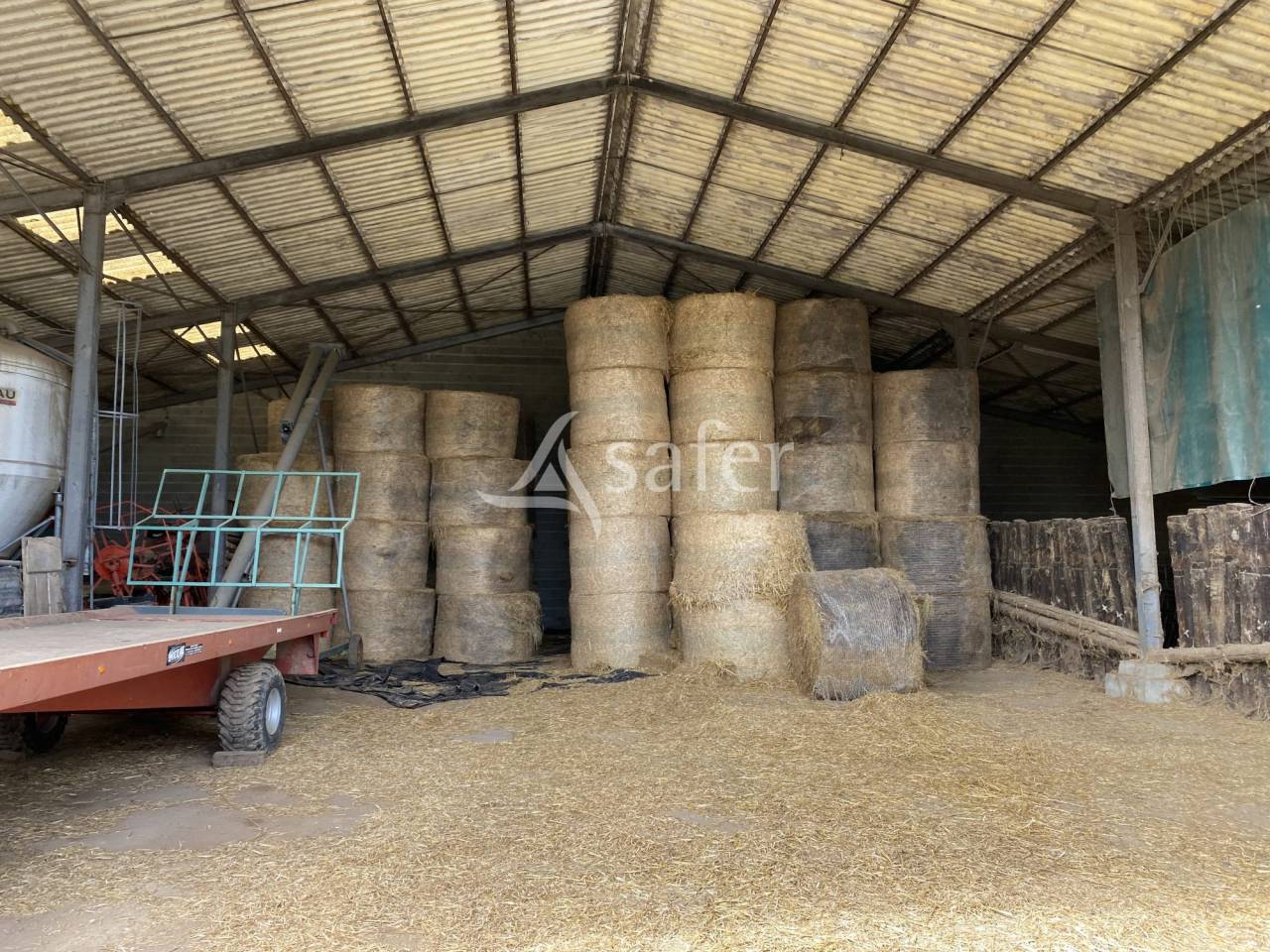 Azienda ovina In vendita Allier