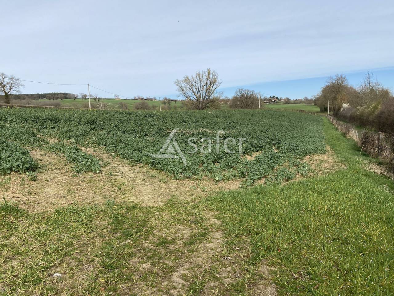 Azienda ovina In vendita Allier