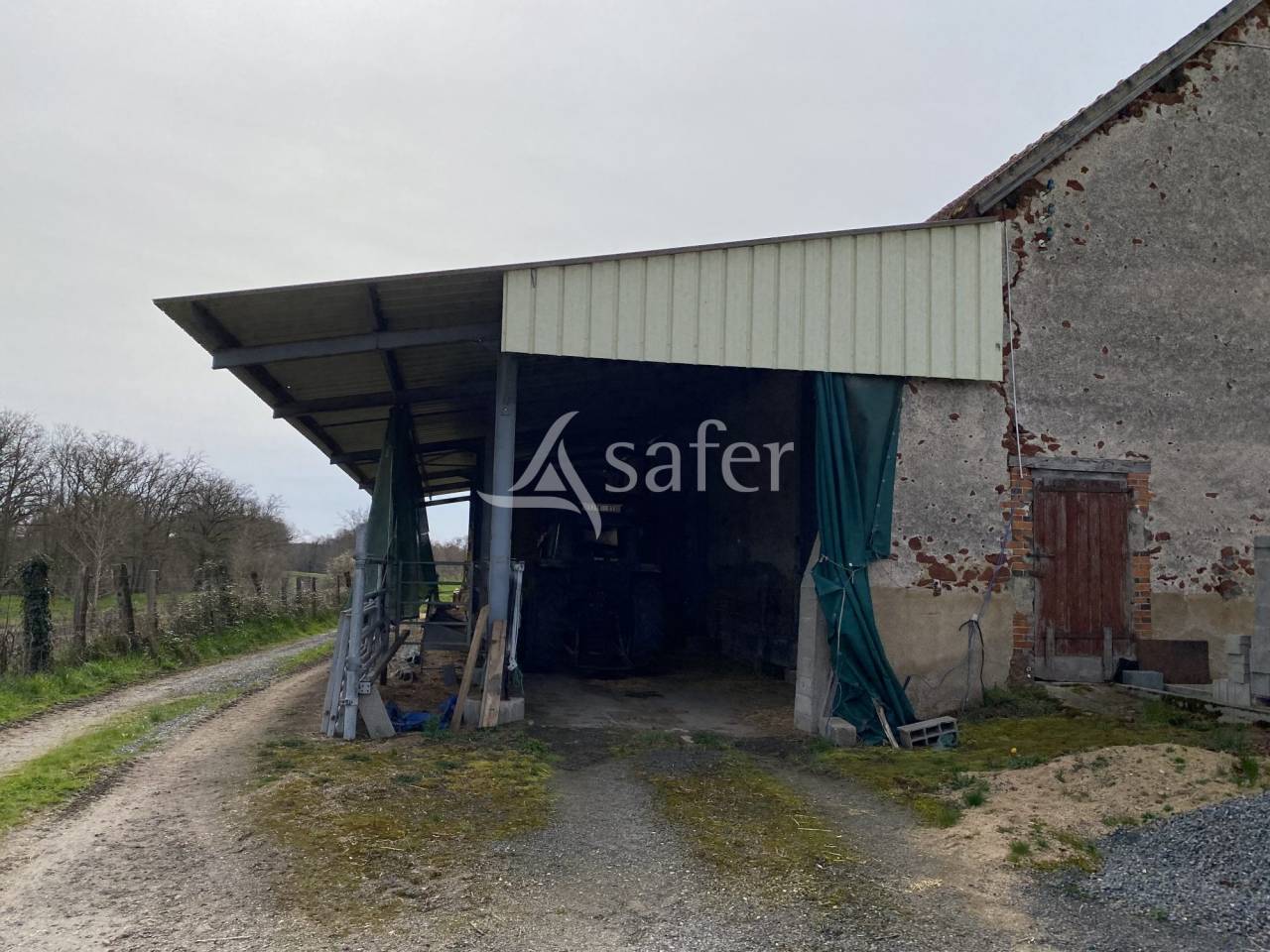 Azienda ovina In vendita Allier