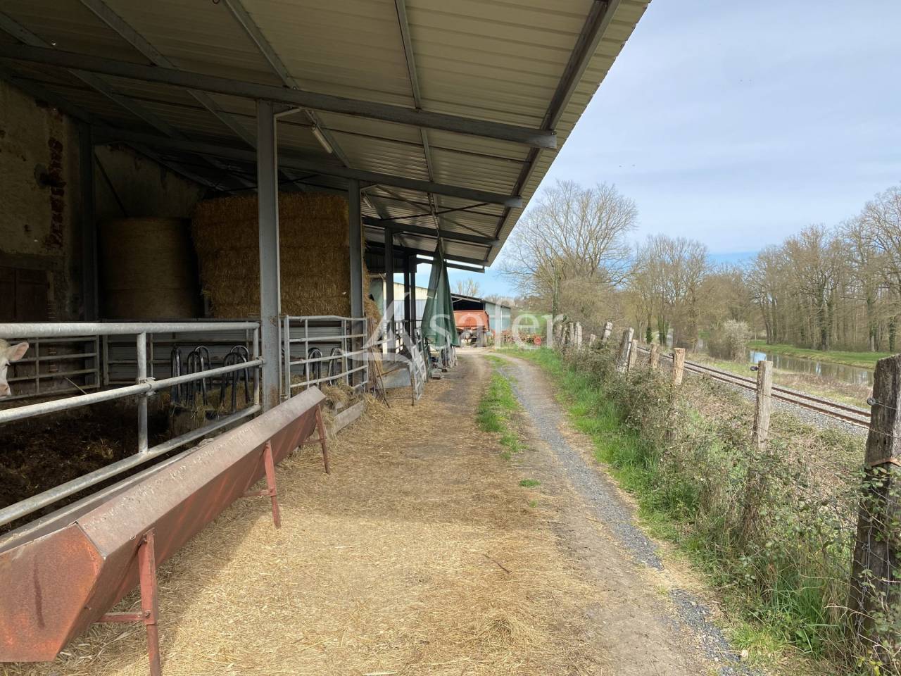 Azienda ovina In vendita Allier