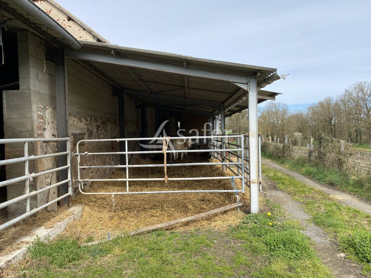 Azienda ovina In vendita Allier