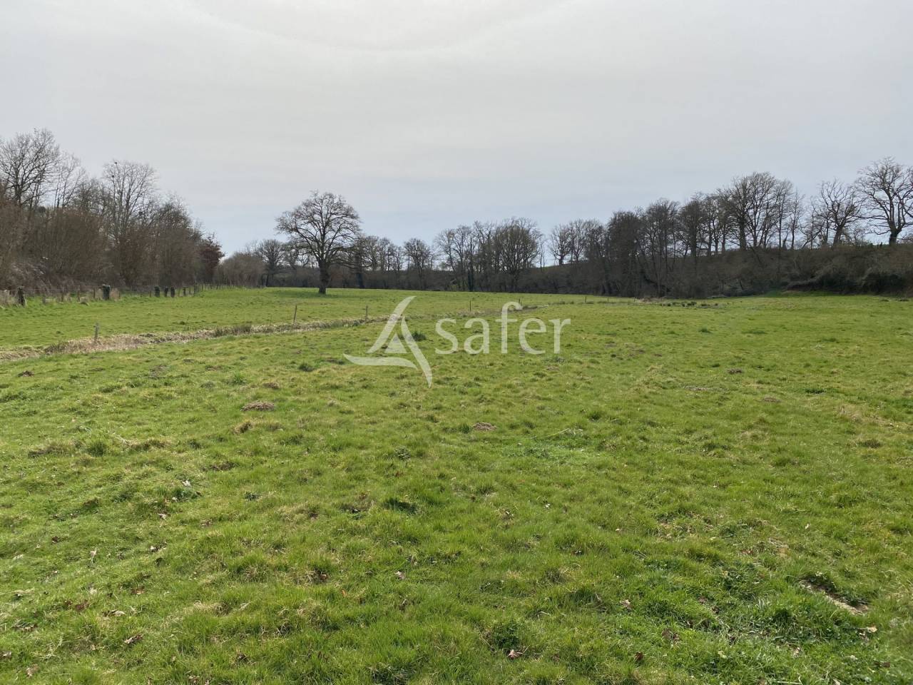 Azienda ovina In vendita Allier