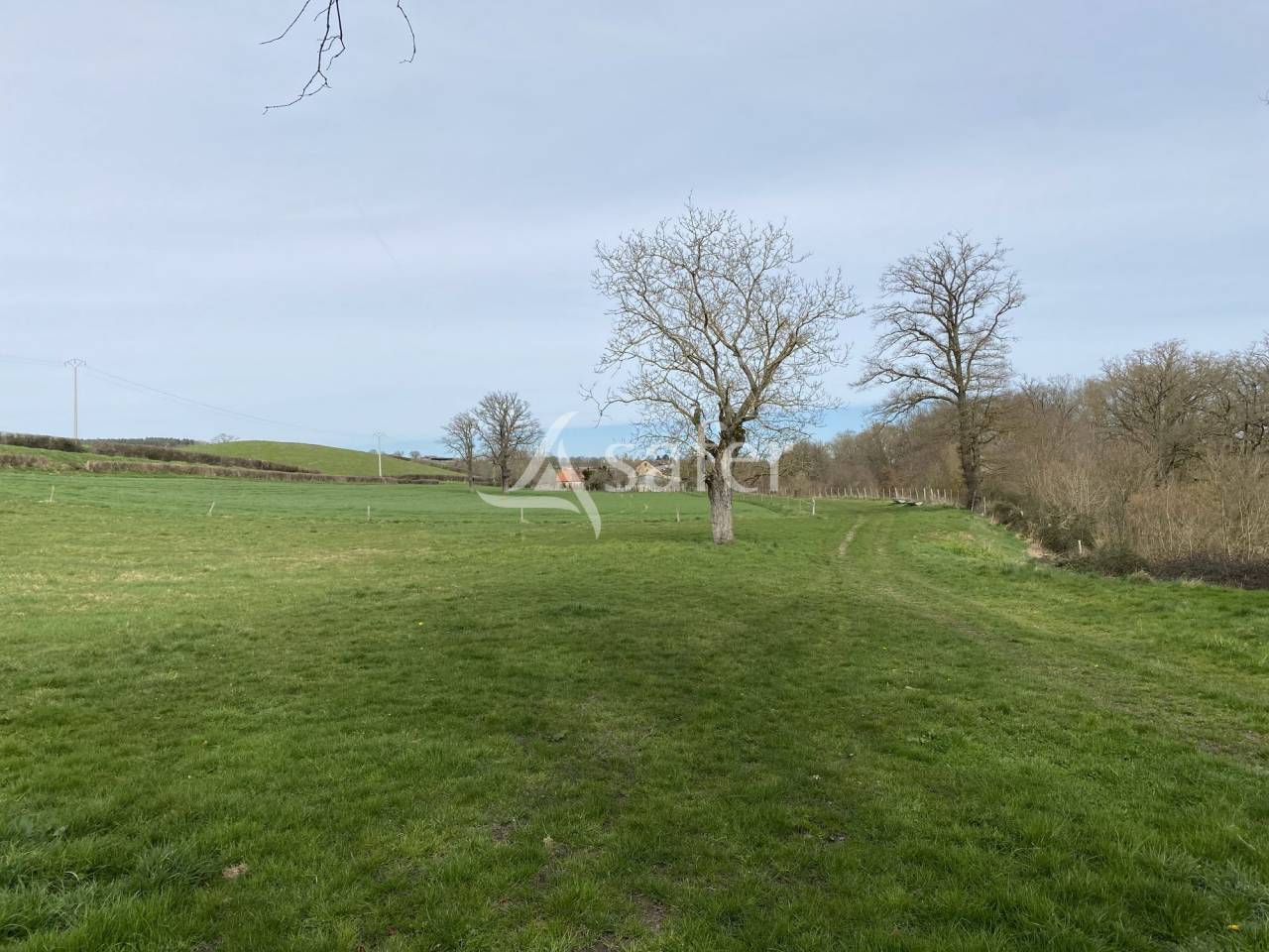 Azienda ovina In vendita Allier