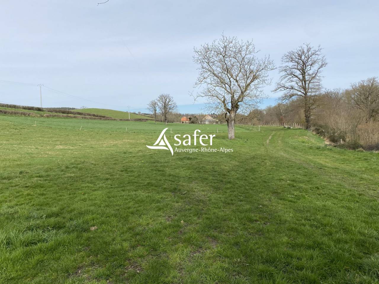 Azienda ovina In vendita Allier