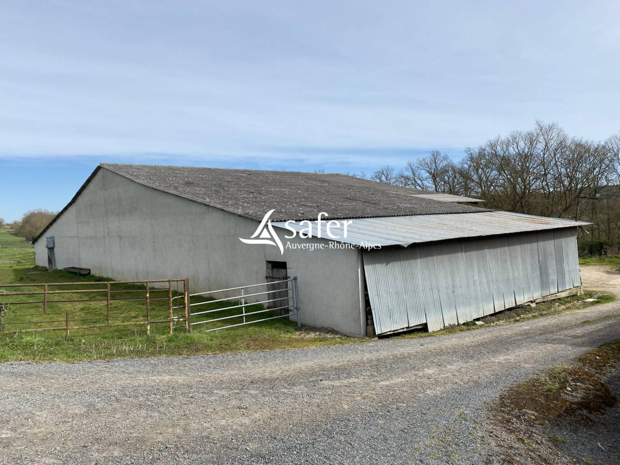 Azienda ovina In vendita Allier