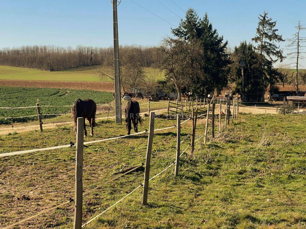 Centro ippico In vendita Yonne