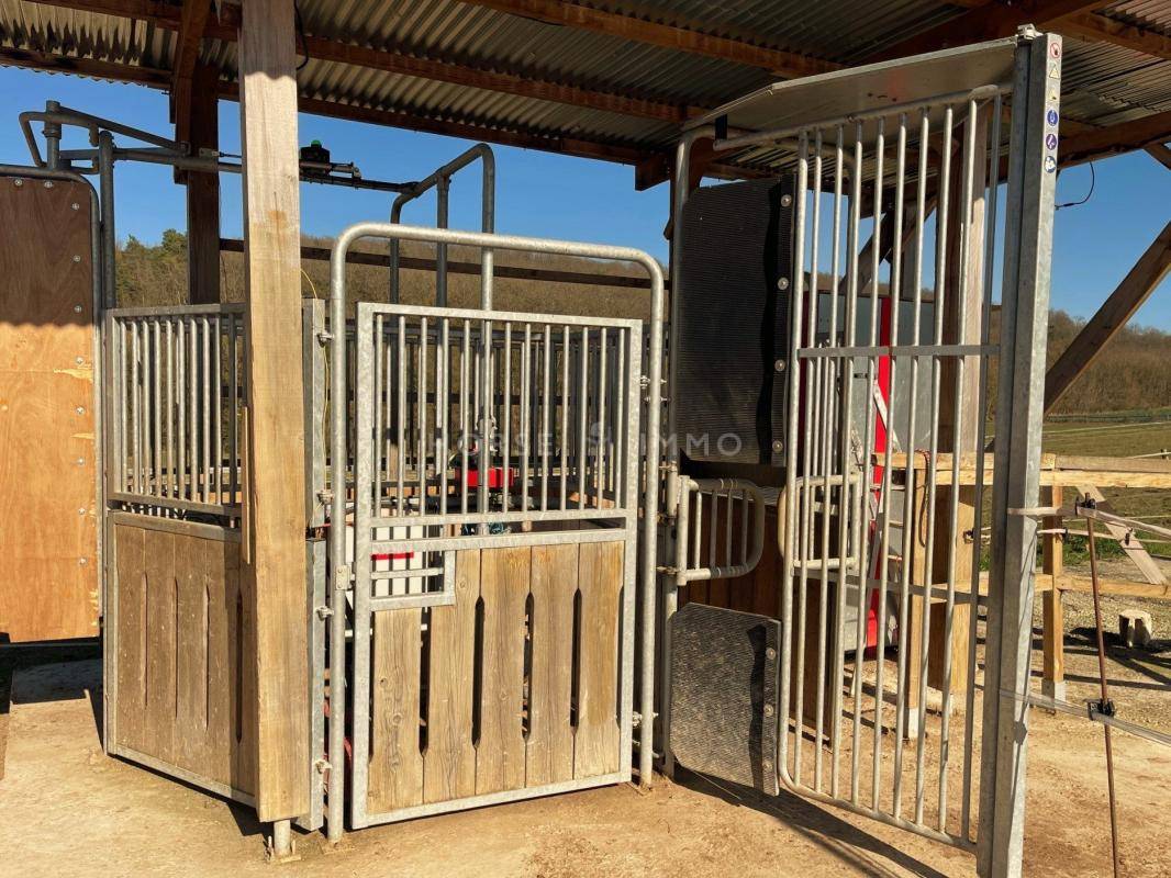 Centro ippico In vendita Yonne