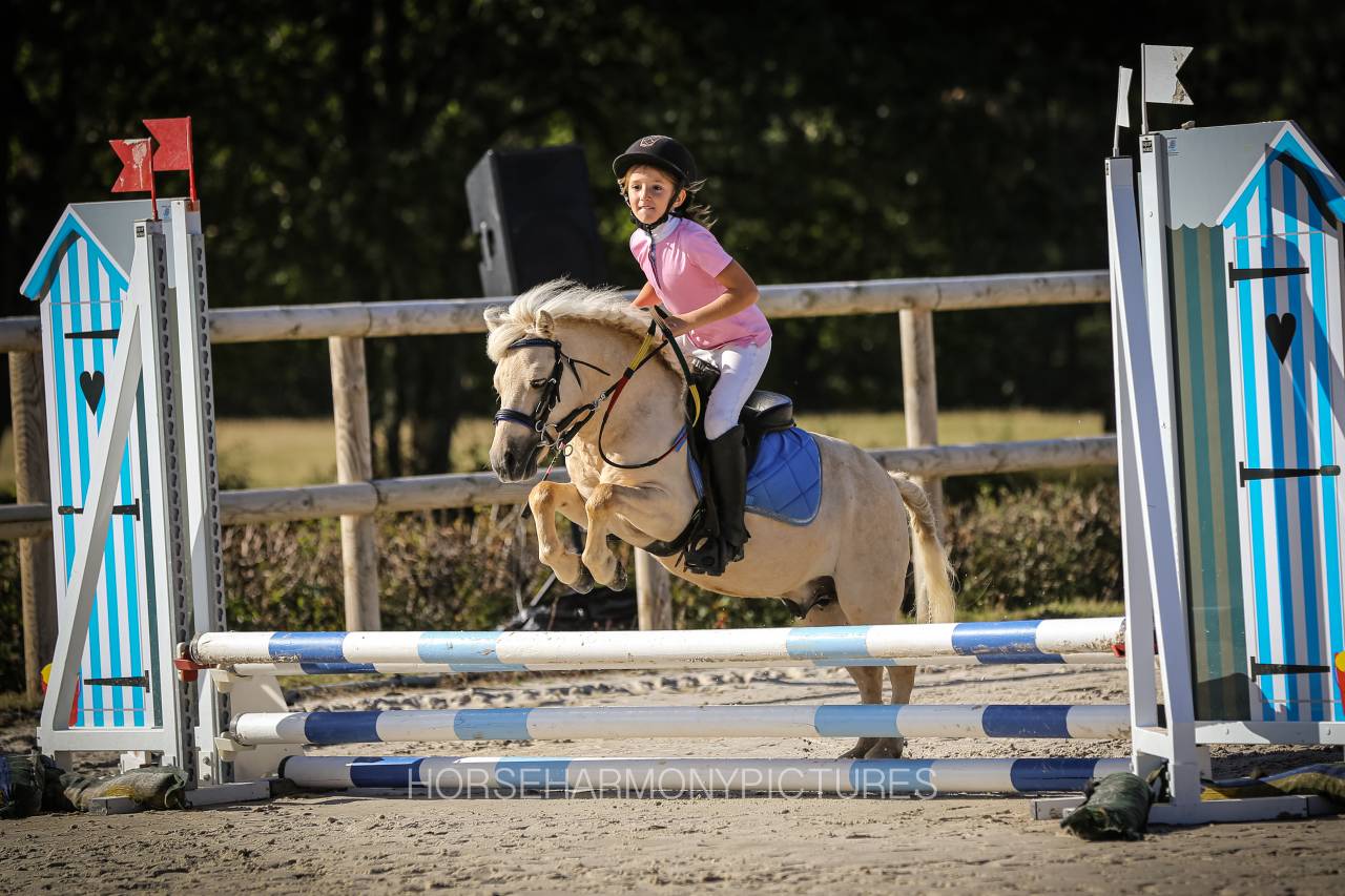 Cavalla Origine non conosciuta  In vendita 2023 Palomino