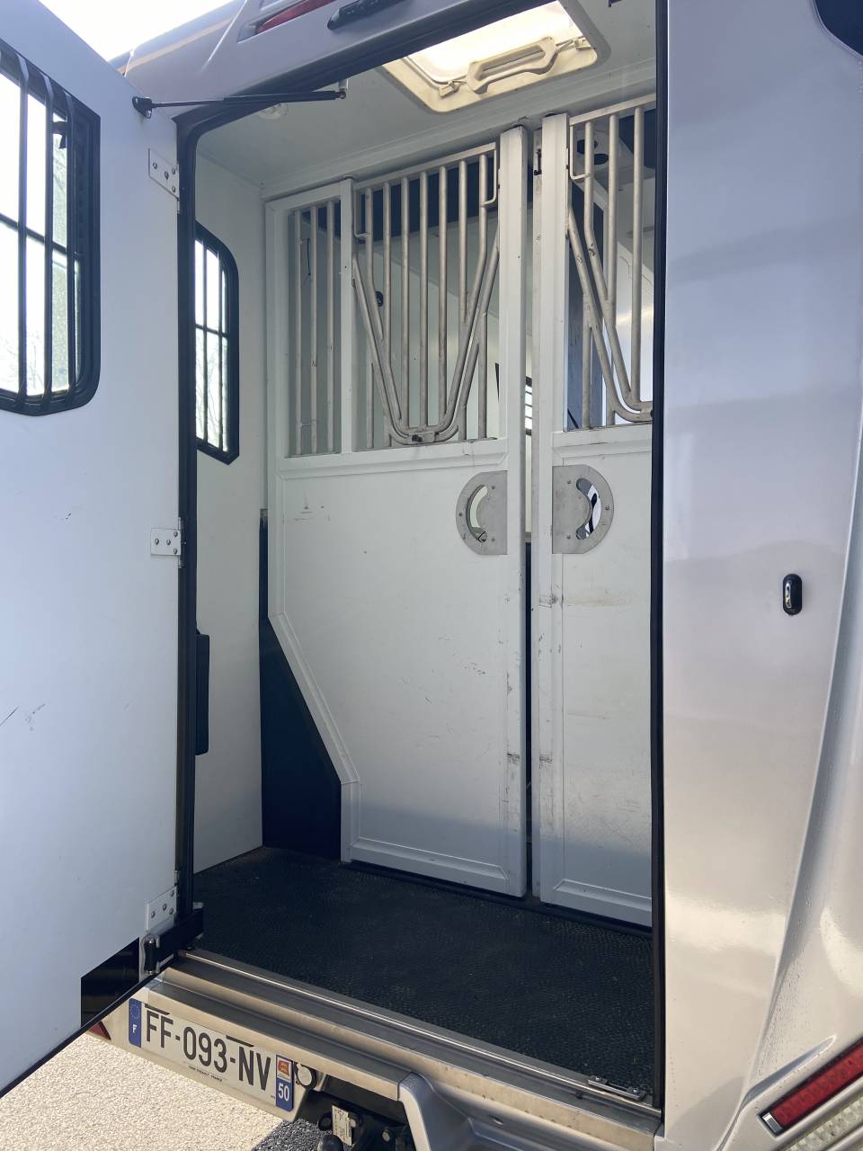 Van per Cavalli Theault  2019 Occasione