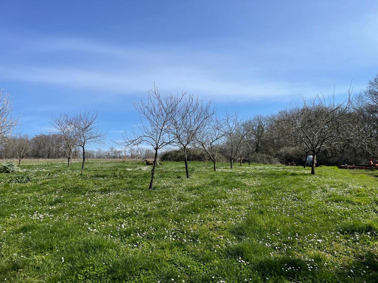 Proprietà equestre In vendita Dordogne