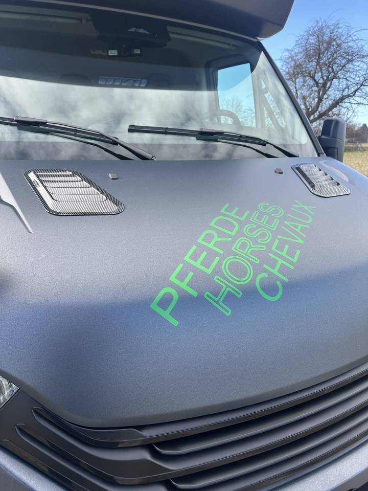 Van per Cavalli Iveco IVECO 0 Nuovo