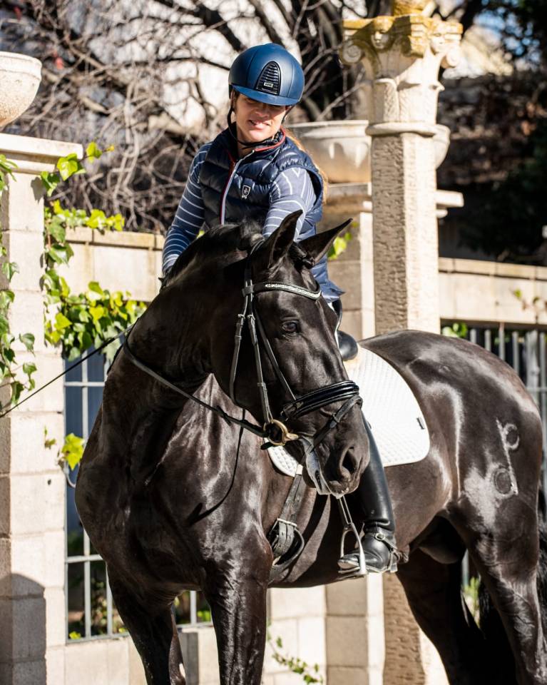 Puledro PRE Andaluso In vendita 2025 Nero ,  MONJE II