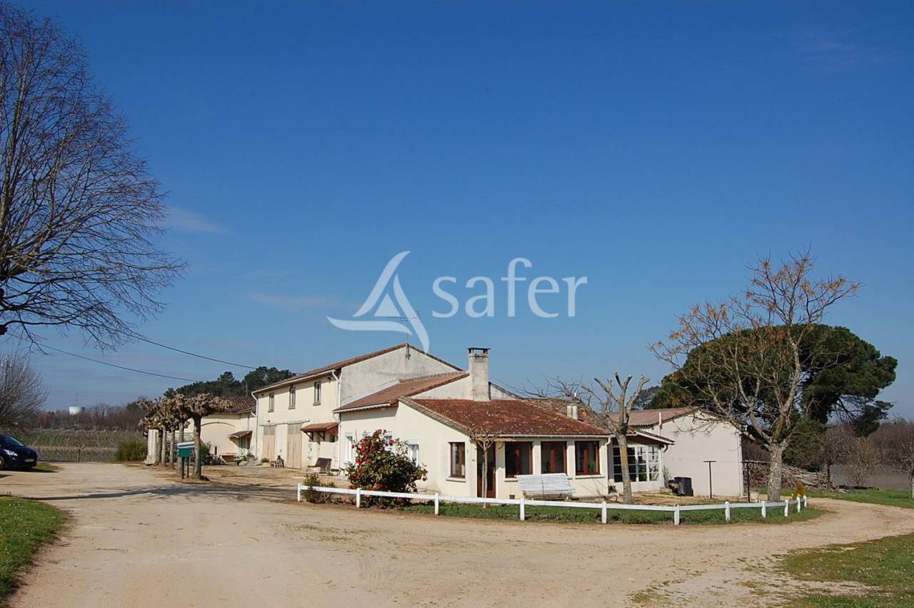 Azienda viticola / Vigneto In vendita Gironde