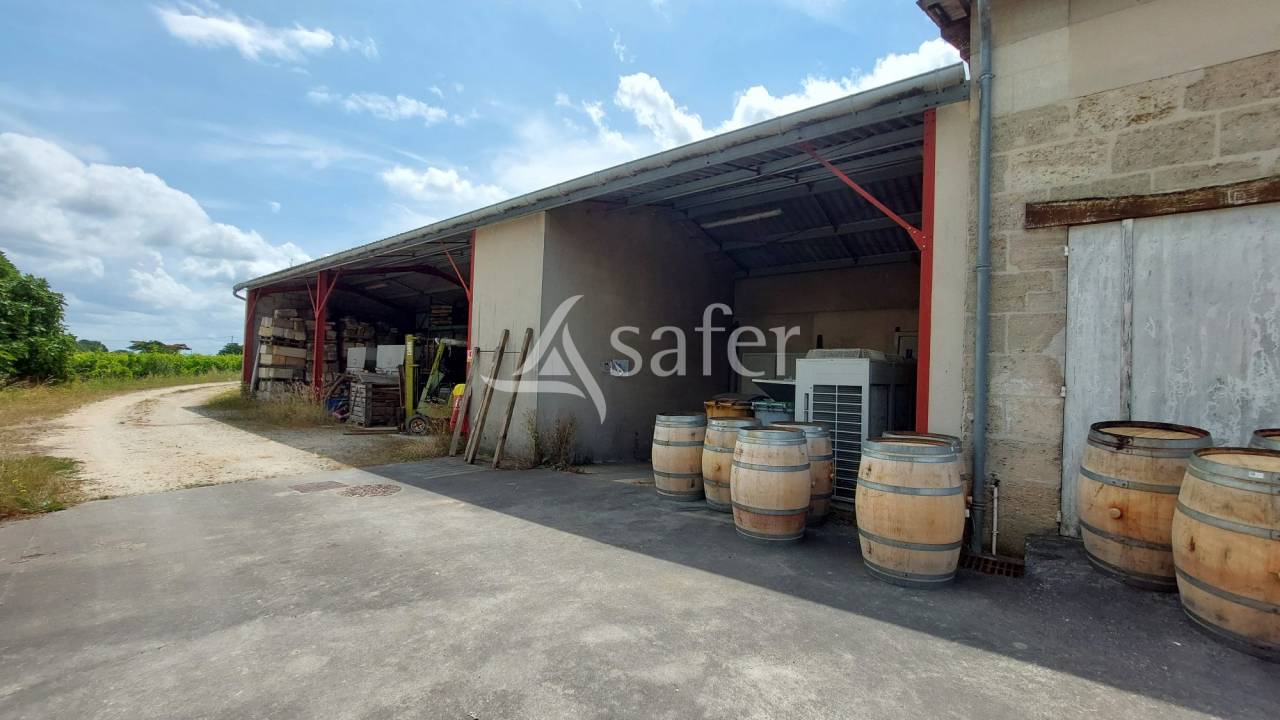 Azienda viticola / Vigneto In vendita Gironde