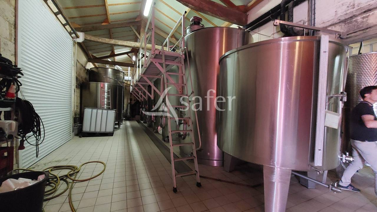 Azienda viticola / Vigneto In vendita Gironde