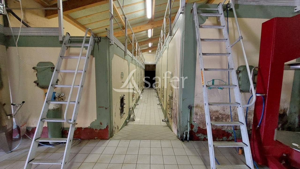 Azienda viticola / Vigneto In vendita Gironde