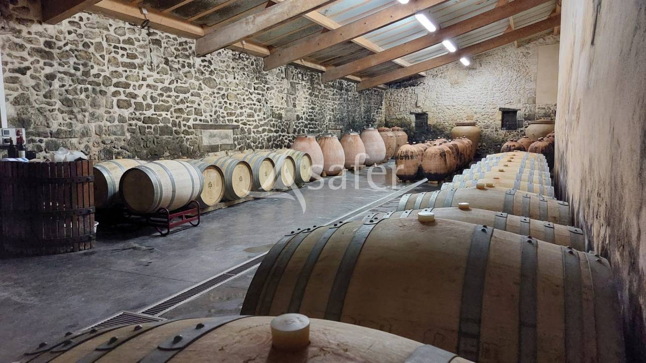 Azienda viticola / Vigneto In vendita Gironde