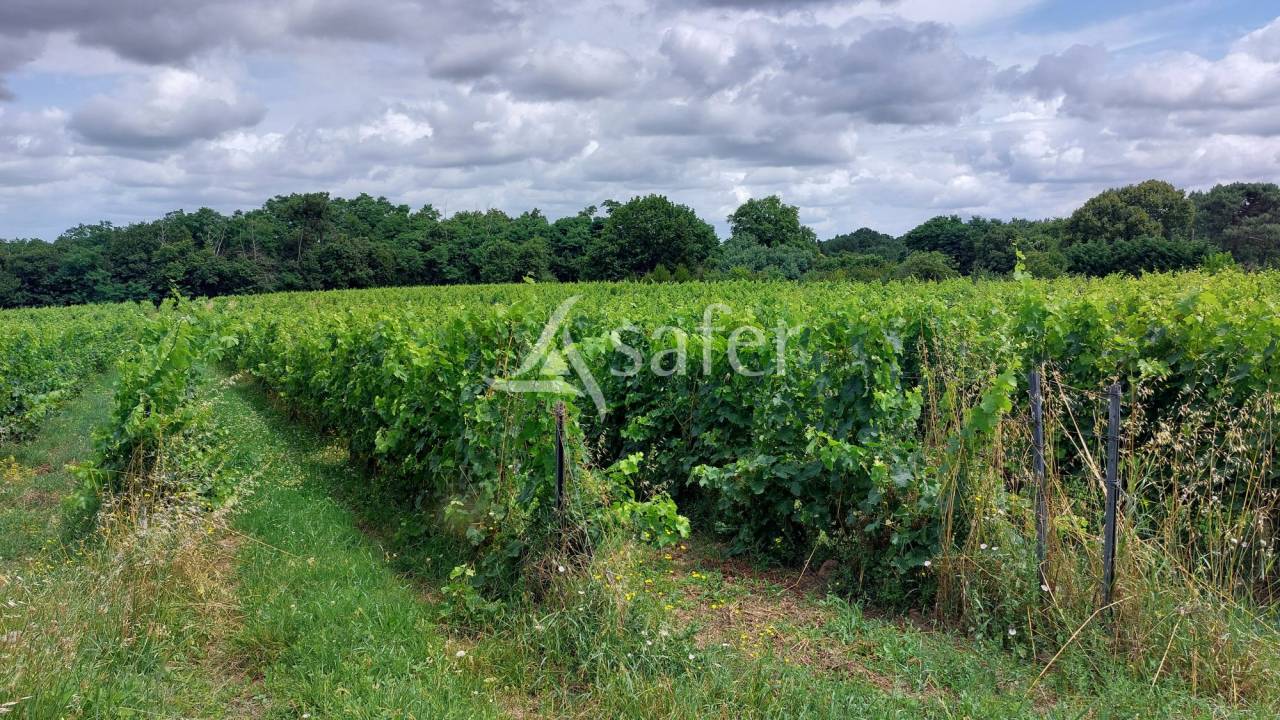 Azienda viticola / Vigneto In vendita Gironde