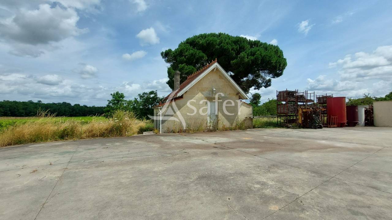Azienda viticola / Vigneto In vendita Gironde