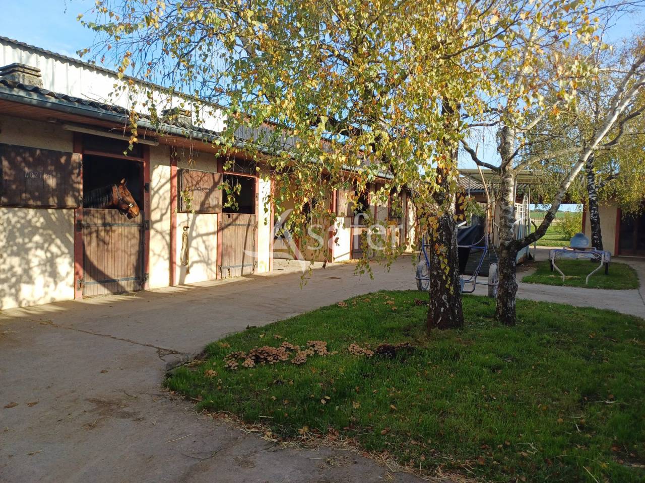 Proprietà equestre In vendita Charente-Maritime