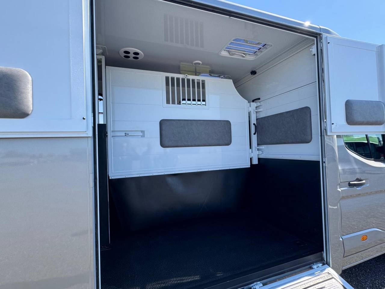 Van per Cavalli TBST Renault Master 2025 Nuovo