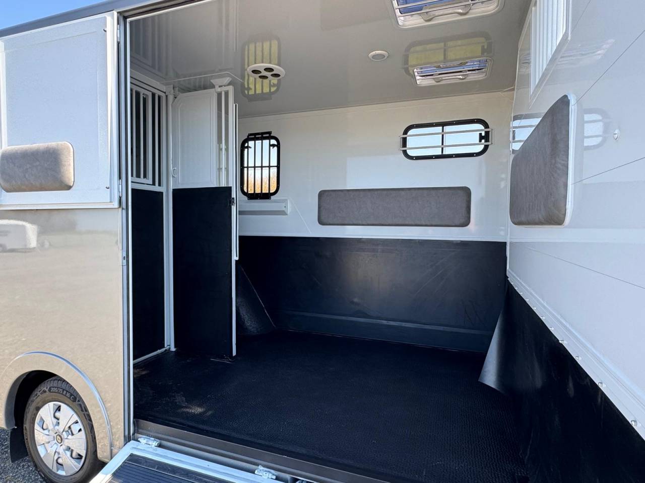 Van per Cavalli TBST Renault Master 2025 Nuovo