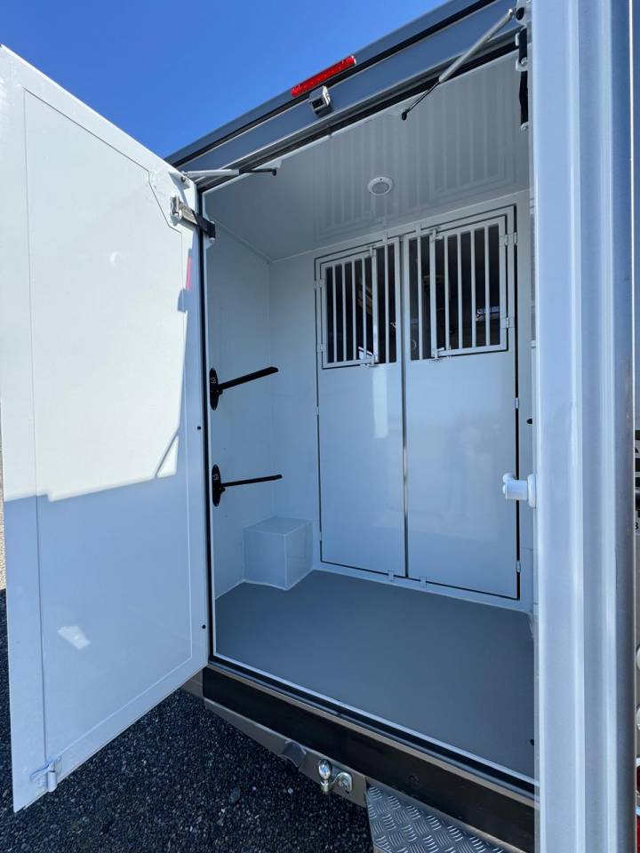 Van per Cavalli TBST Renault Master 2025 Nuovo