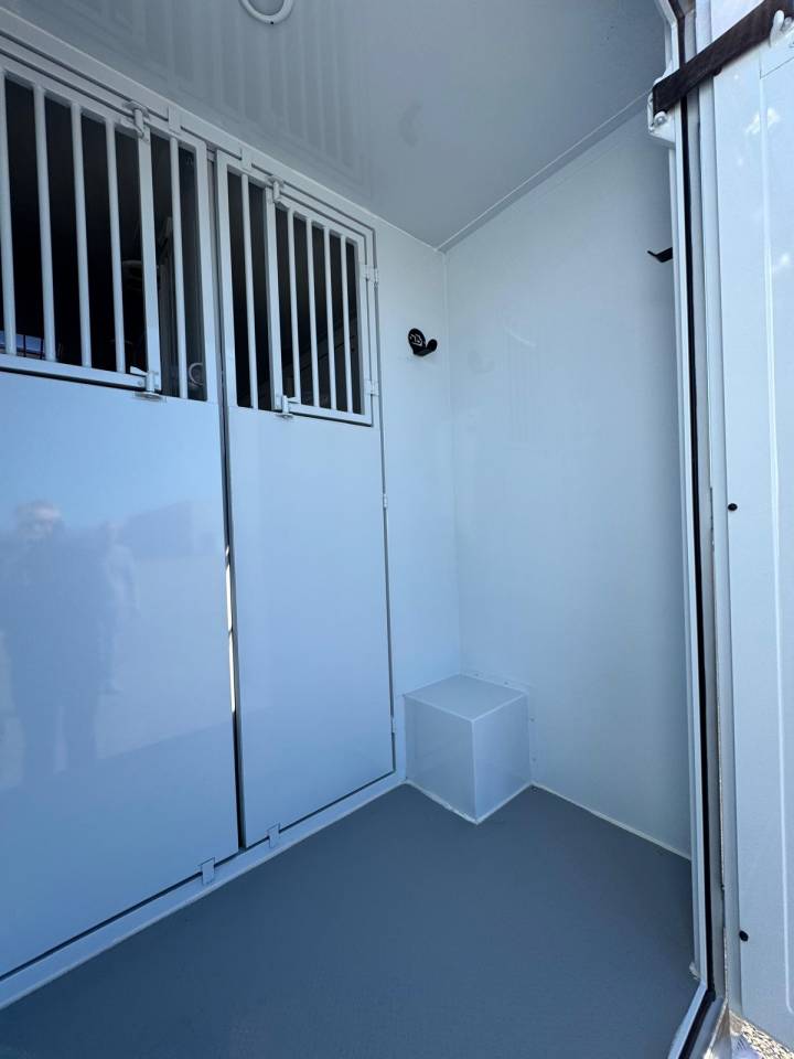 Van per Cavalli TBST Renault Master 2025 Nuovo