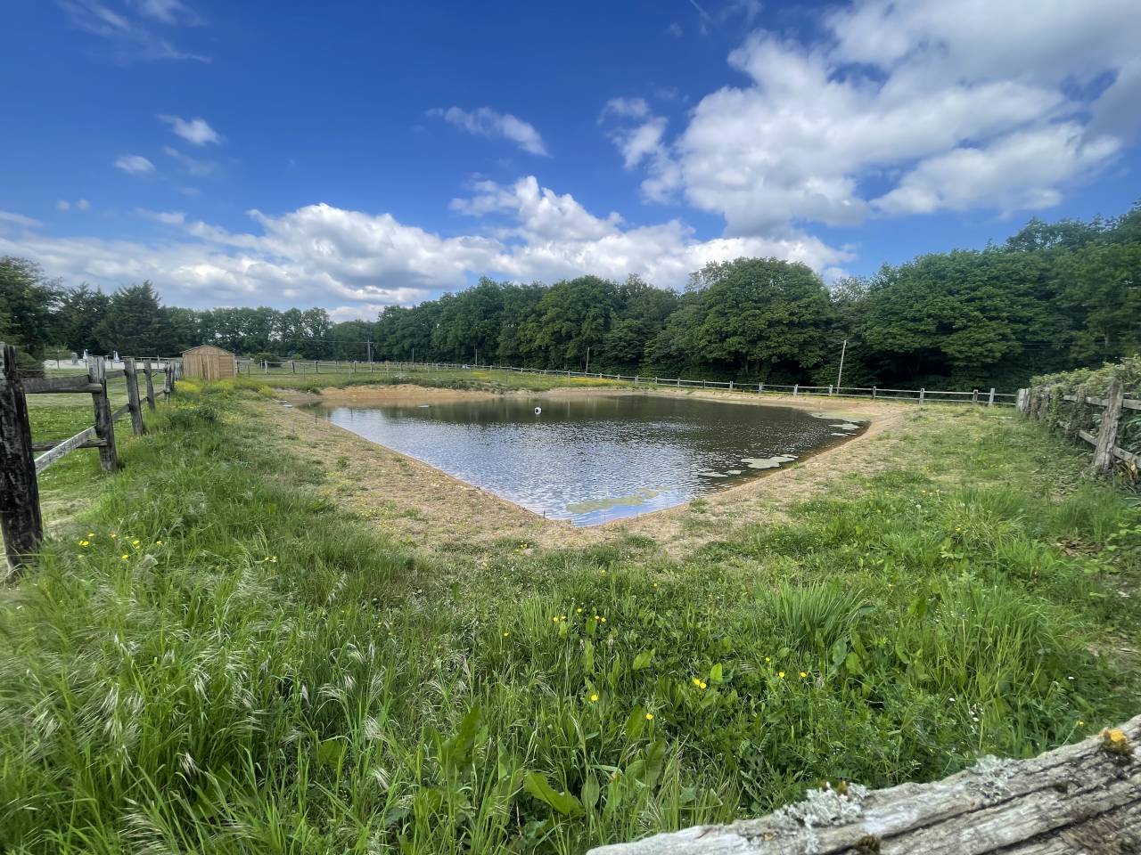 Proprietà equestre In vendita Eure