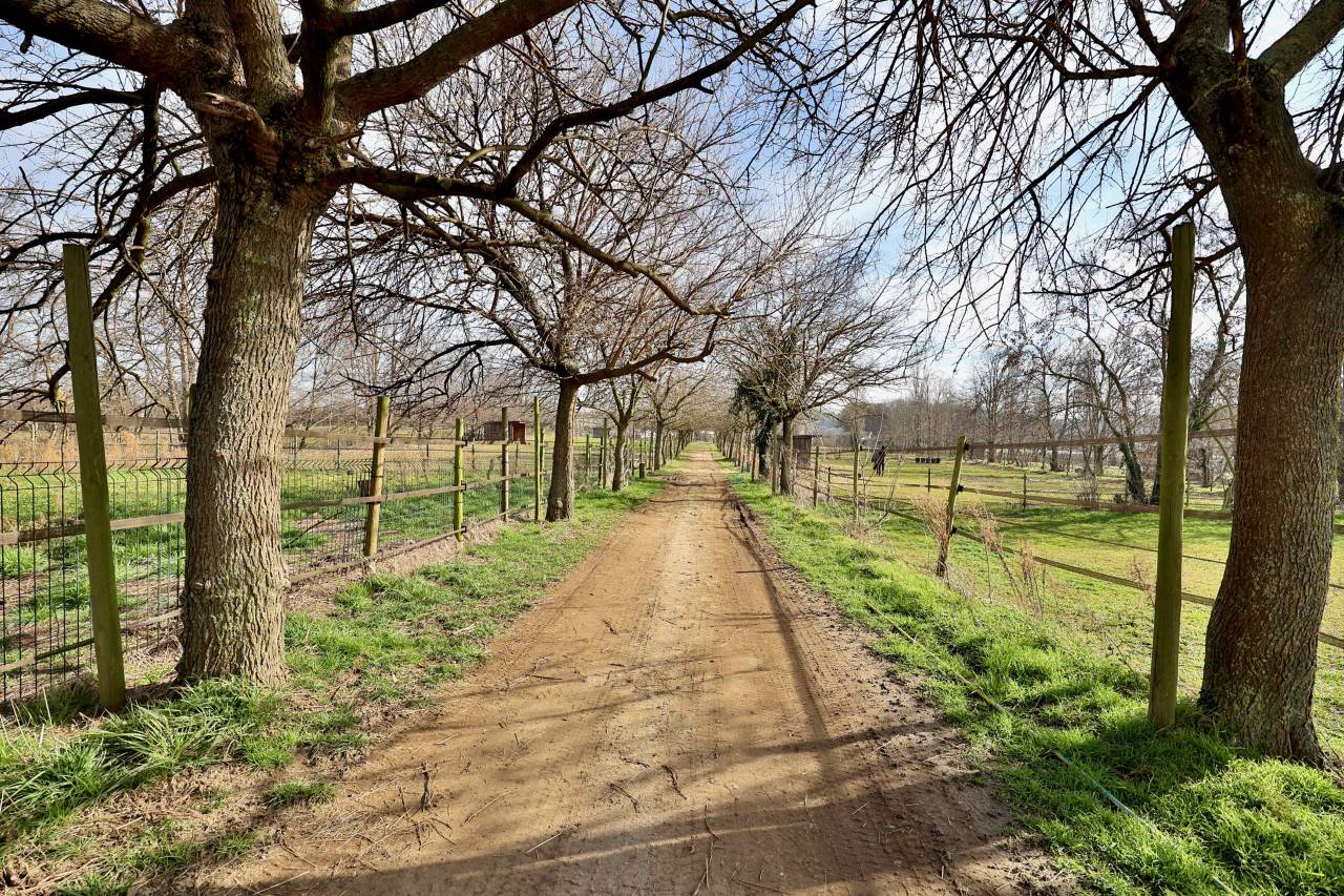 Proprietà equestre In vendita Drôme