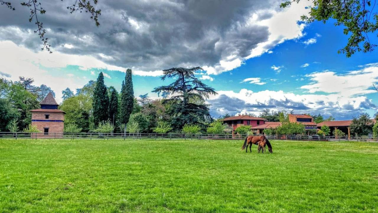 Bella dimora equestre In vendita Tarn-et-Garonne
