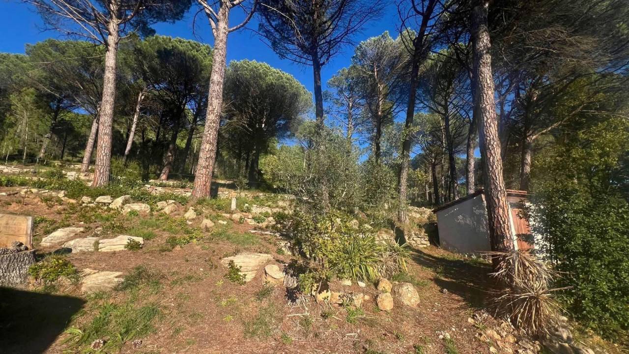 Propriet&agrave; equestre In vendita Var