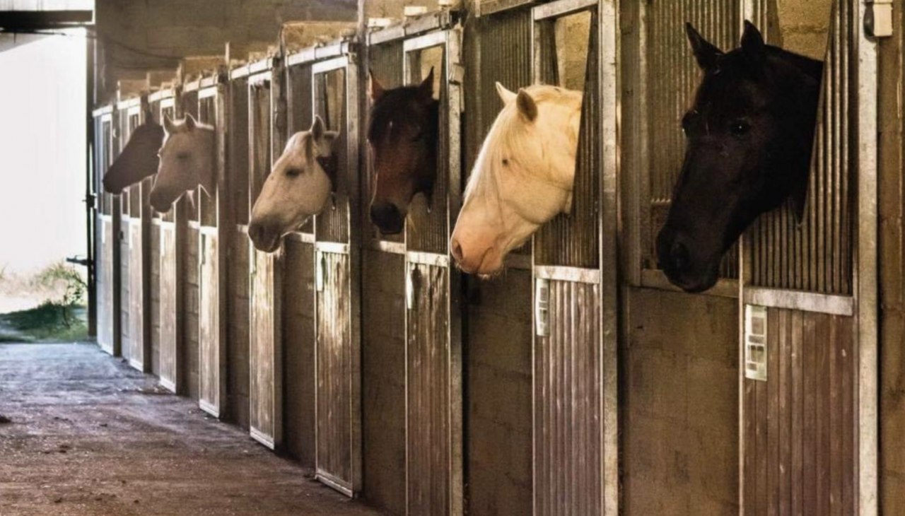 Proprietà equestre In vendita Gers