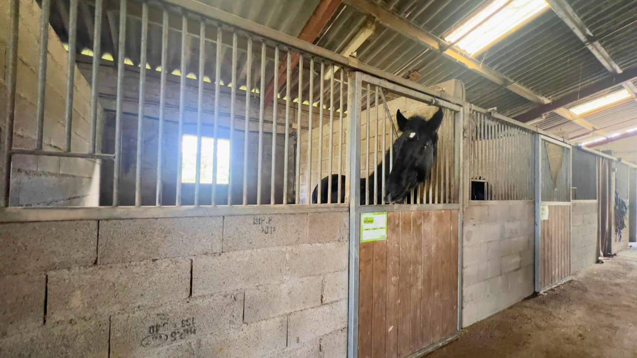 Proprietà equestre In vendita Gers