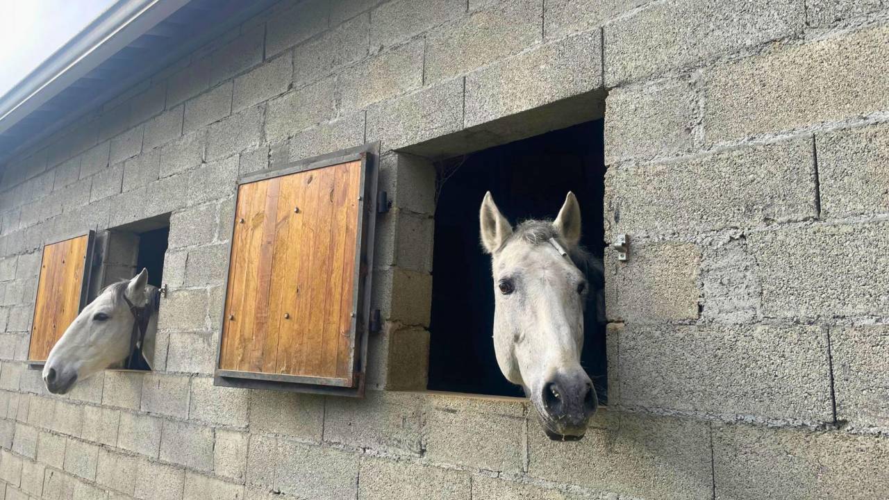 Proprietà equestre In vendita Gers